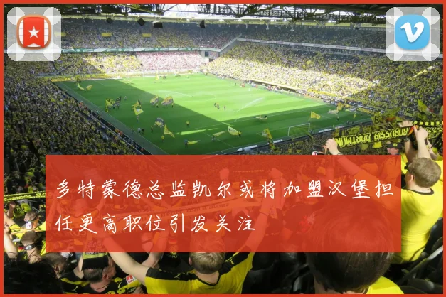 多特蒙德总监凯尔或将加盟汉堡担任更高职位引发关注